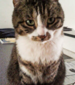 June Svg+xml,%3Csvg%20xmlns%3D%22http%3A%2F%2Fwww.w3